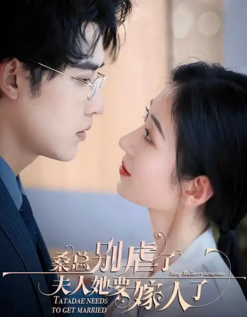 长风渡月 古装电视剧全集免费观看